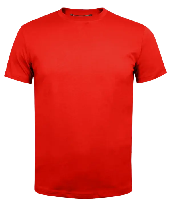 T-shirt <br>Classic Unisex 1501