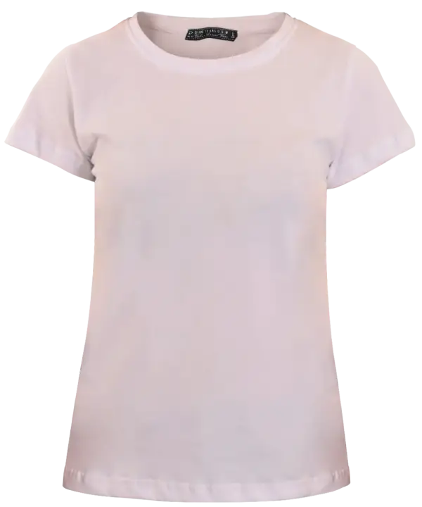 T-shirt <br>Classic Slim 90031